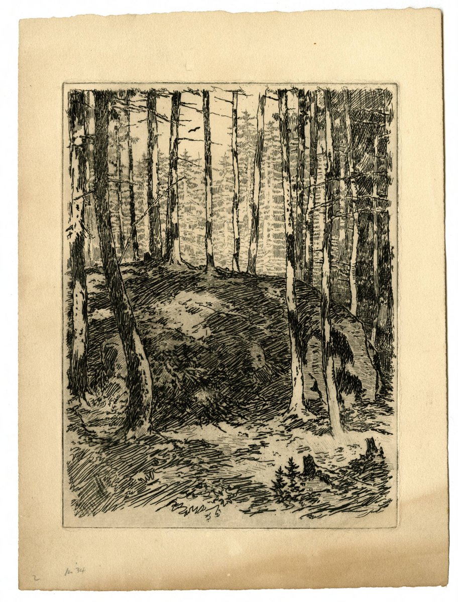 It may be some weeks before we  @SherlockUMN  @umnlib view a woodland scene like this--given to us by Steele in 1934--but it's a good image for Friday; also a helpful reminder during the pandemic to care for ourselves & find moments or places of restoration.  http://purl.umn.edu/99616 