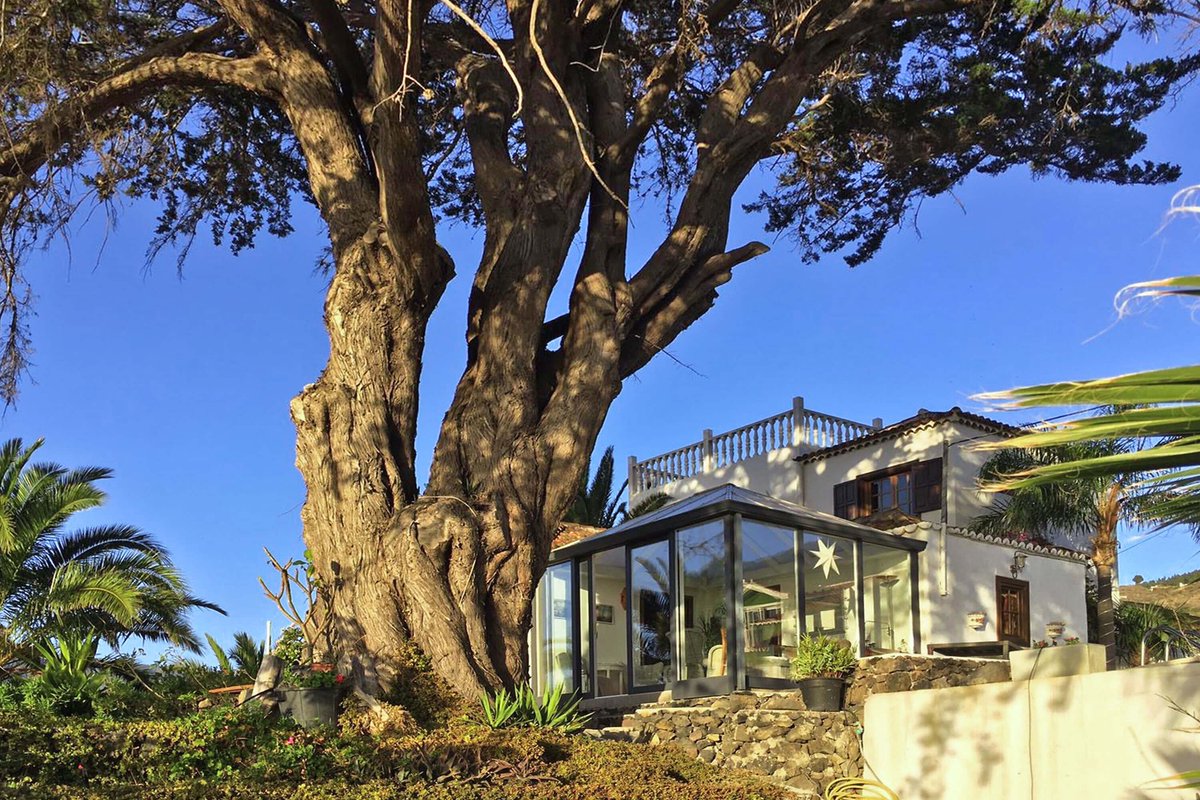 LCCanarias's tweet photo. New finca on #LaPalma #canaryislands - perfect for a calm and relaxing retreat! Check it out now: https://t.co/NGIUemLtxD https://t.co/JoaU42AQut