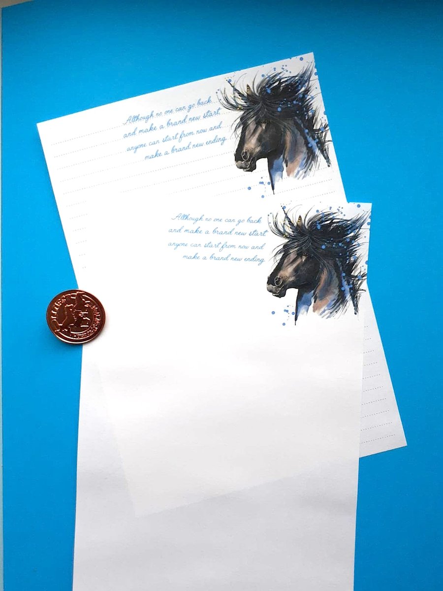 Lluest Horse and Pony Trust (@LluestPonyTrust) / Posts / X