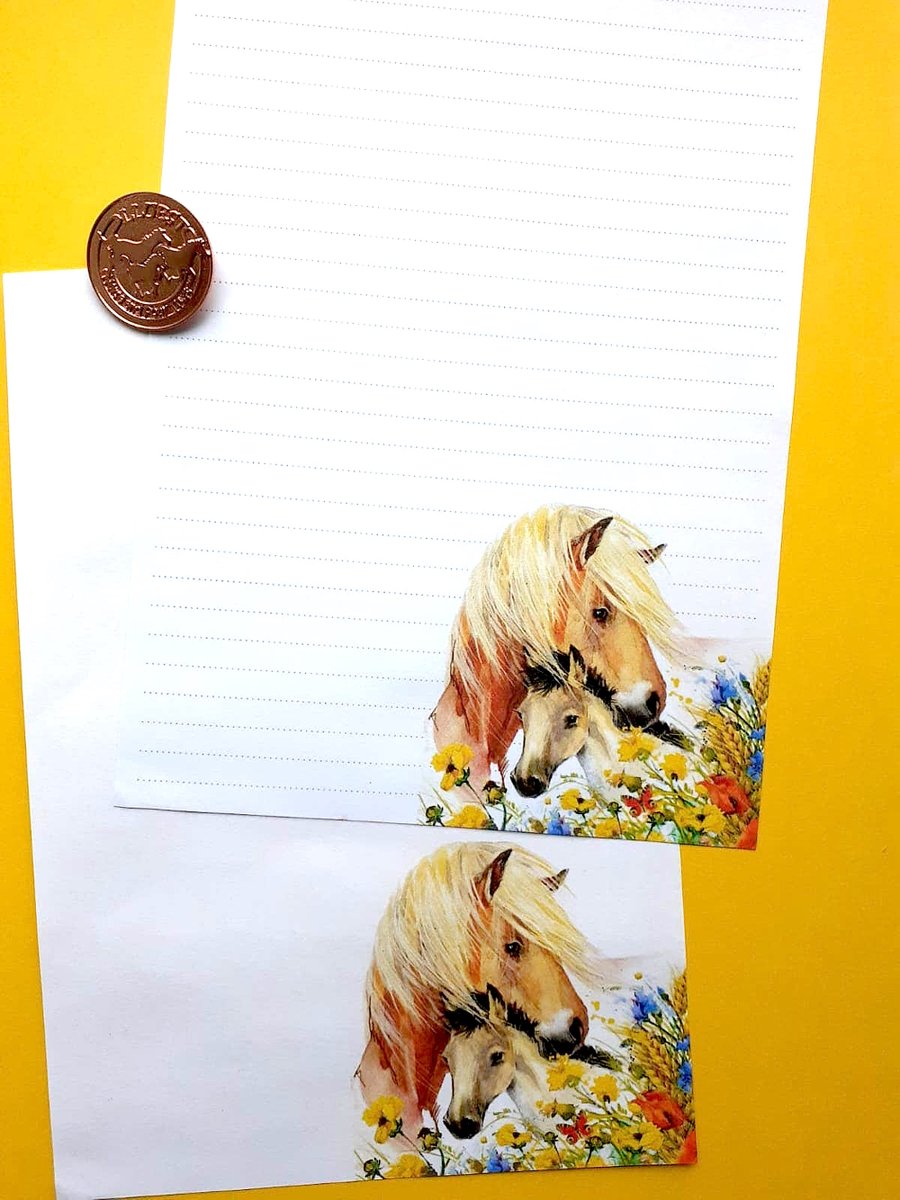 Lluest Horse and Pony Trust (@LluestPonyTrust) / Posts / X
