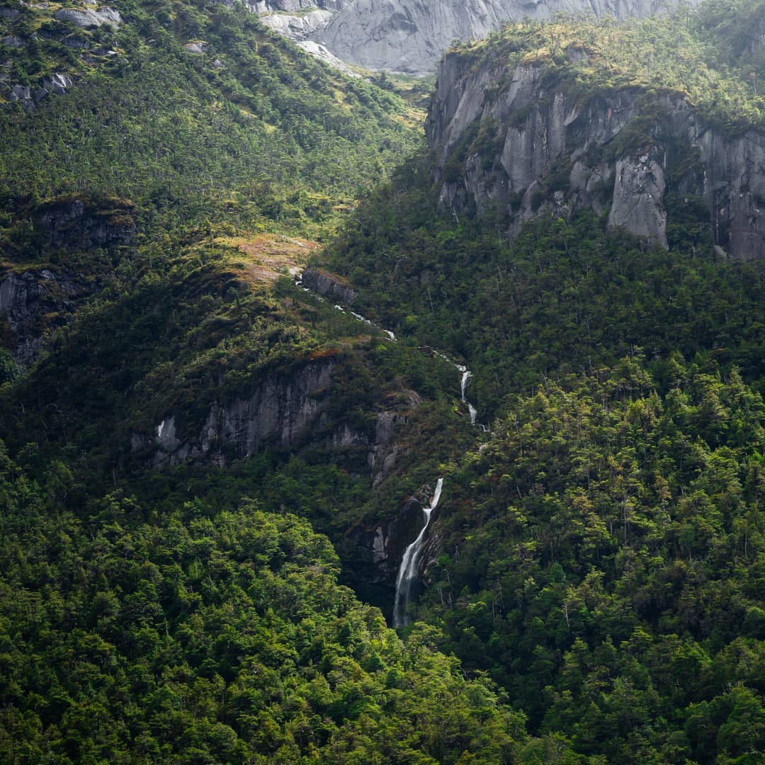 rutadeparques's tweet image. Los lugares salvajes del planeta están desapareciendo a un ritmo sin precedentes. En menos de 50 años, hemos perdido el 60% de las poblaciones de vida silvestre. La Ruta de los Parques protege ecosistemas completos | rutadelosparques.org | 📷: franciscomendezr (Instagram)