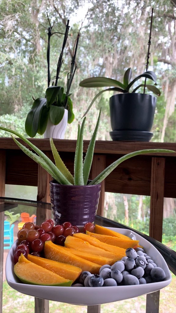 JJufko's tweet photo. “I could never go vegan,” said the person I never asked. #veganfood #foodie #humor #FruitFriday #Vegan https://t.co/Jq2IGwIgew