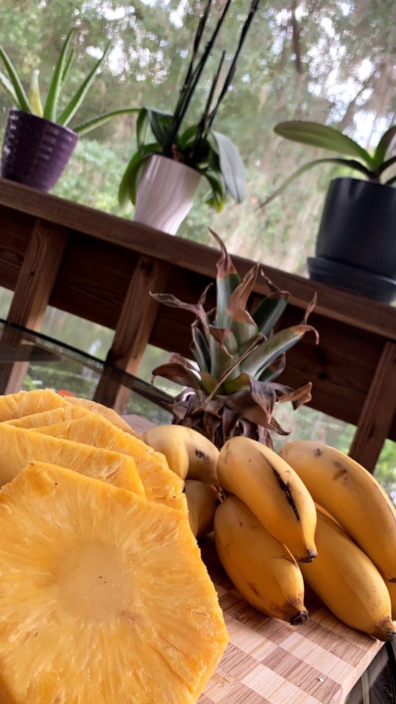 JJufko's tweet photo. “I could never go vegan,” said the person I never asked. #veganfood #foodie #humor #FruitFriday #Vegan https://t.co/Jq2IGwIgew
