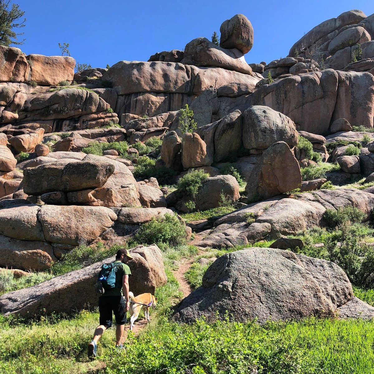 visitwyoming's tweet photo. Summertime in Wyoming opens up opportunities to explore the vast open spaces. #ThatsWY https://t.co/GSpSgbGjw4
📷: https://t.co/wFq5MZrhXr https://t.co/LK4KGkOesr