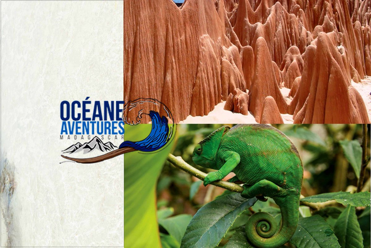 🥳🥳 Joyeuse fête de l’Indépendance
#OceaneAventures #Independenceday #MyMadagascar #26juin2020