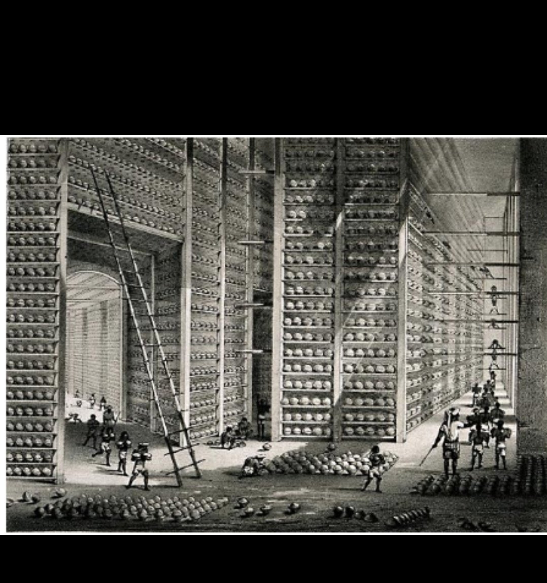 The picture below is of a Sassoon Opium warehouse in Patna,Bihar . It shows about 13,000,000 Pounds of Opium.
