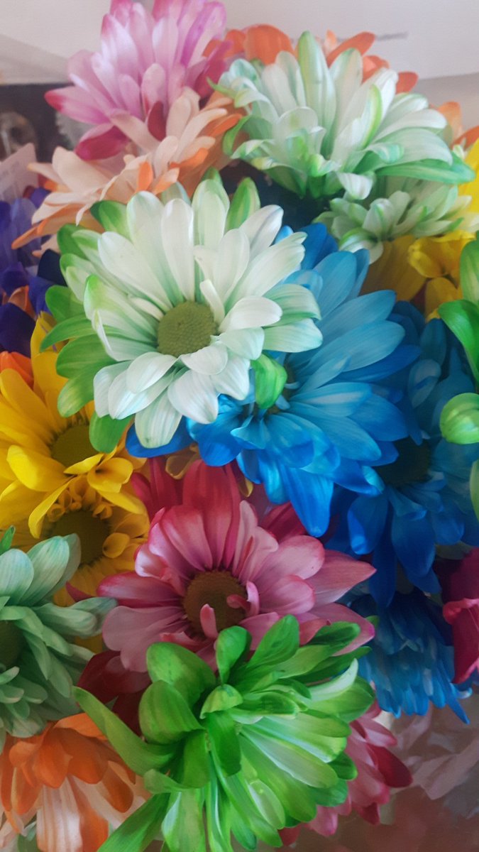 AnneLGeorge's tweet photo. @KillaloePS @RCDSB supports all identities in the making! #PRIDE2020 https://t.co/YzoMfUEj2I