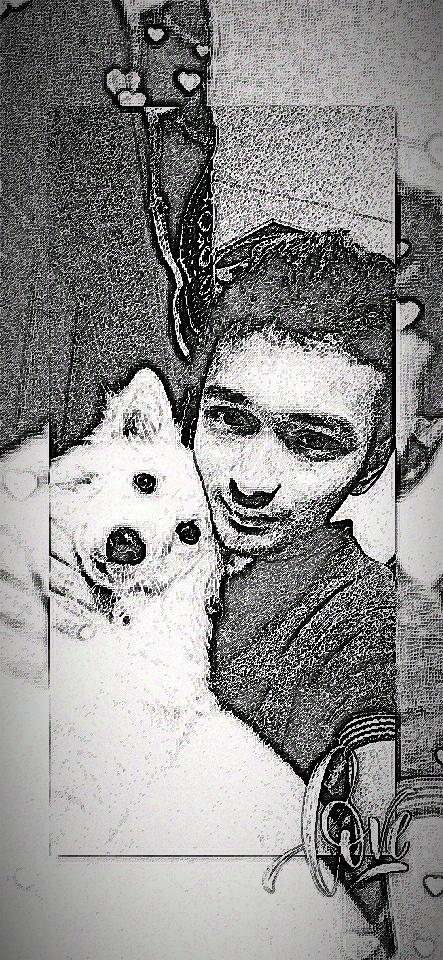 spidy_webx's tweet image. #100DaysOfCode 

Break of streak, got overexcited for the newcomer(spitz breed dog) of house and spent all day around him resulting the in break of streak so early,

But as famous saying, try try and don't cry

I will be restarting it again fram a scratch 

#CodeNewbie
#dogs