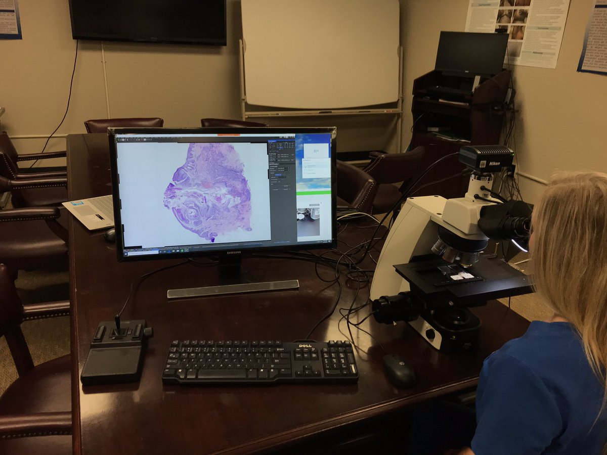 Augusta Dermpath Nikon Robotic Remote viewing and large scanning with Ci-E #pathology