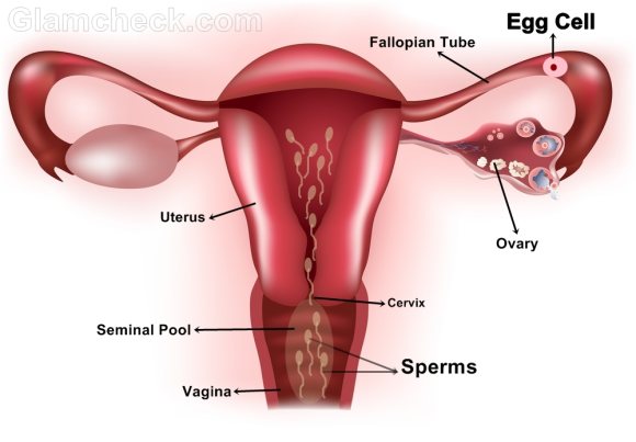 When you break it down. Think about it this way, We all know now, energy is not created or destroyed, it just transfers from one point to another - if your semen is inserted into a female, it will eventually become a new life.