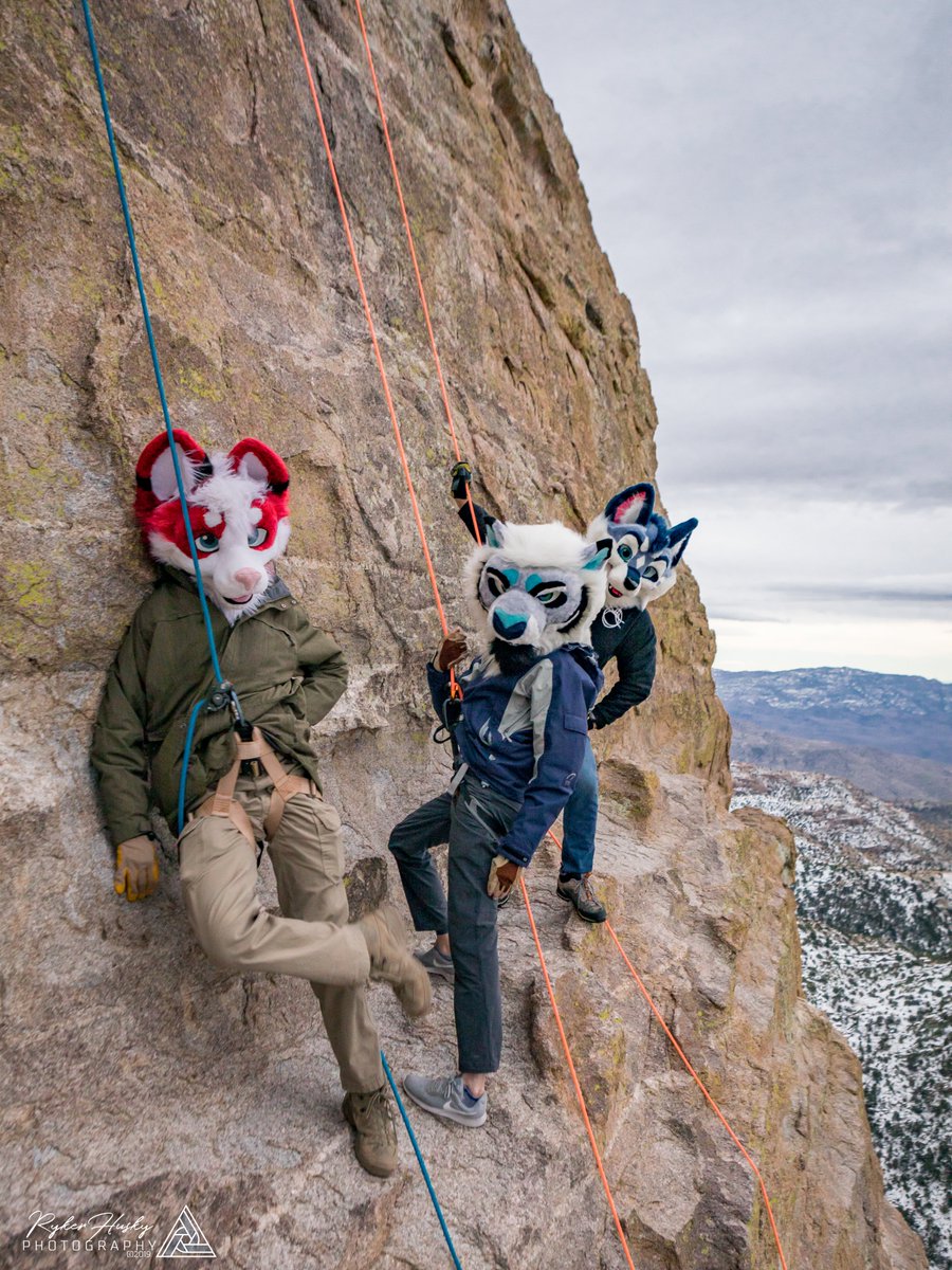 RykerHusky/Kureno tweet media