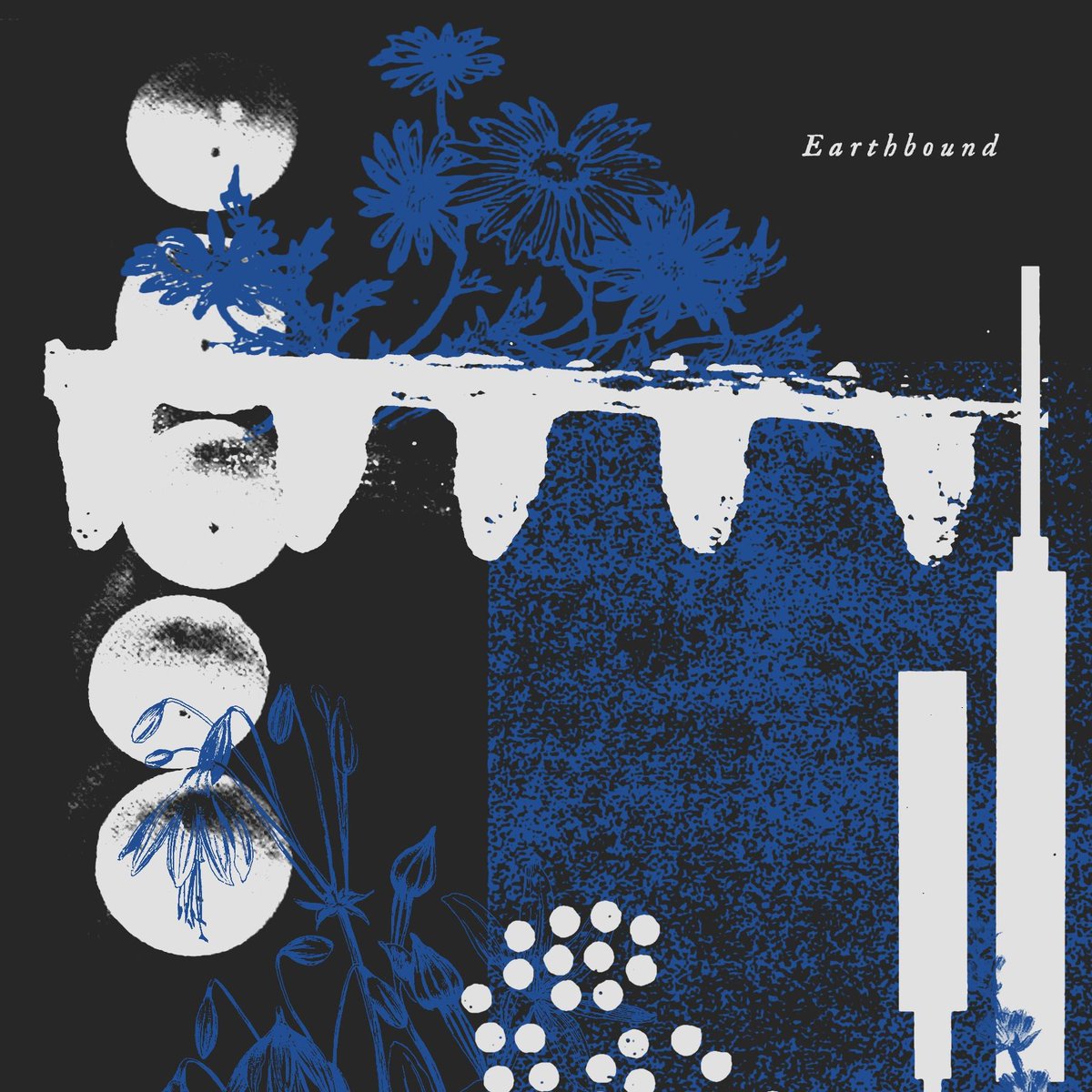nashisthereason's tweet photo. Nashville's own @secretstufftn  released a new single called 'Earthbound' featuring @boguesdude  (also Nashville based) from their upcoming record! Listen to it here: https://t.co/ByYazRjNrn https://t.co/C0QeR9sO8X