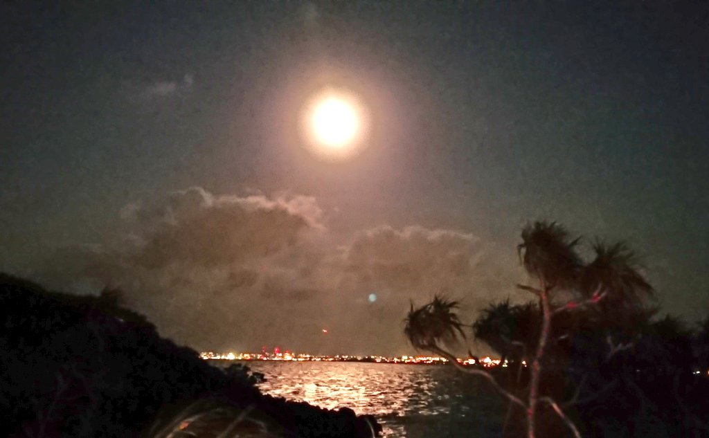 宮古島の風 僕が生まれたこの島の空を僕はどれくらい知っているんだろう 輝く星も流れる雲も 名前を聞かれてもわからない でも誰より誰よりも知っている 悲しい時も嬉しい時も何度も見上げていたこの空を 教科書に書いてある事だけじゃわからない 大切な物