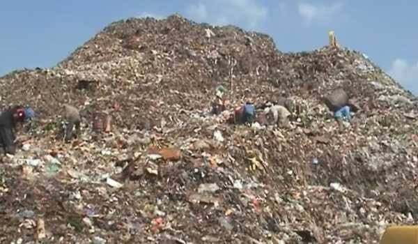 Bogor.                      Bekasi