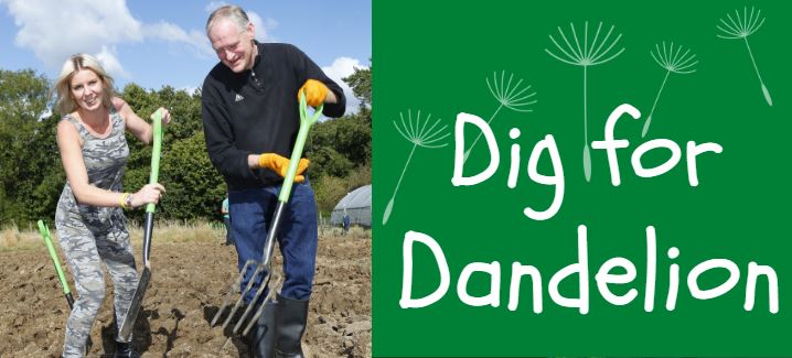 DandelionTimeUK's tweet photo. Do you want to roll up your sleeves for an exhilarating day in the beautiful Kent countryside? 👨‍🌾 Join us for one of our 'Dig for Dandelion' Volunteer Days to help us transform our new Maidstone centre! Friday 10, 17, 24 &amp; 31 July.
Sign up HERE https://t.co/GHL4r2Gdrg 🌻 https://t.co/y4P1ItHMhC