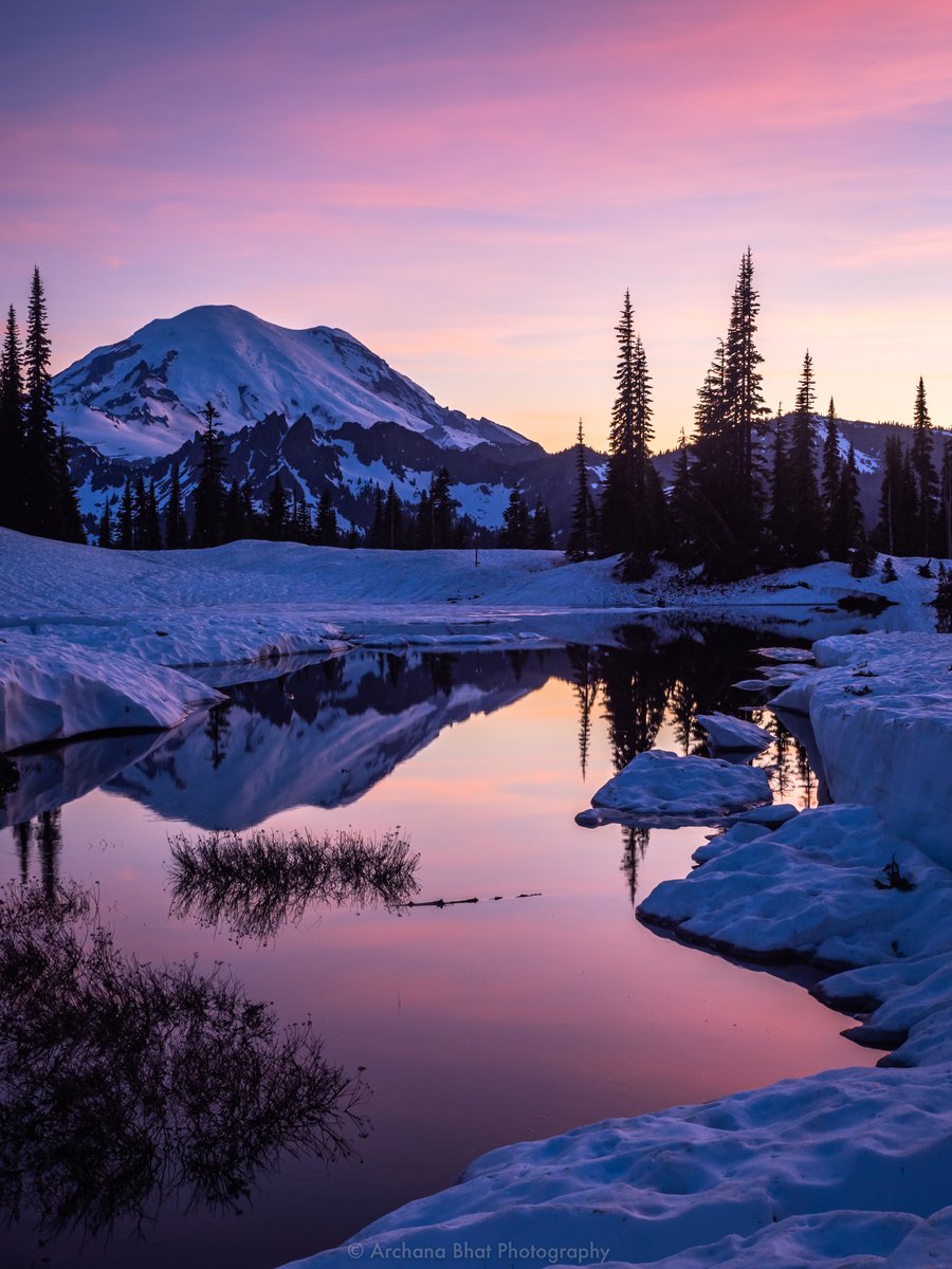 travelingbhat's tweet photo. Last night at #tipsoo #sunset #mtrainier @VisitSeattle
#komoLOZ @ScottSKOMO @KING5Seattle @yourtake @ShannonODKOMO @Q13FOX @KSeattleWeather @seattlepi @seattletimes @theevergrey @MtRainierWatch @MountRainierNPS https://t.co/OnaLsFUcnl