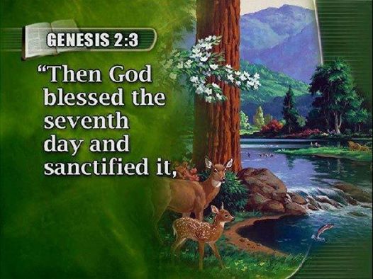 E_G_WHITE's tweet photo. Genuine medical missionary work is bound up inseparably with the keeping of God’s commandments, of which the Sabbath is especially mentioned....Its observance is bound up with the work of restoring the moral image of God in man. {ChS 140.1} https://t.co/7KPA26s6DB