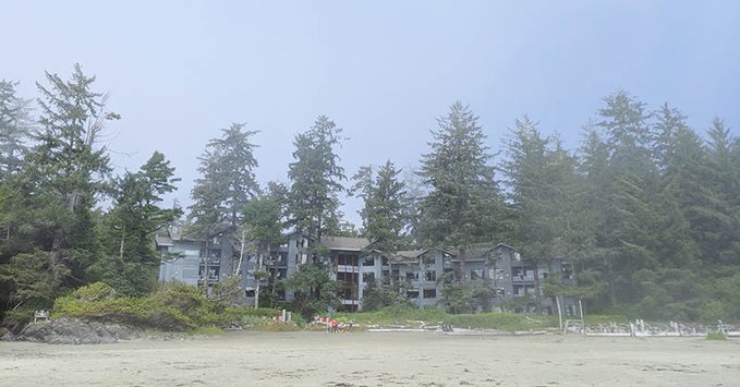 visitBCdotcom's tweet photo. RT @WickInnBC: A magical, misty day on the coast for International Surf Day and summer solstice - perfect weather for all the growing things! πΏ #Wickaninnish Inn #WickInn #Tofino #PacificOcean #BritishColumbia https://t.co/fvphBil6Rk