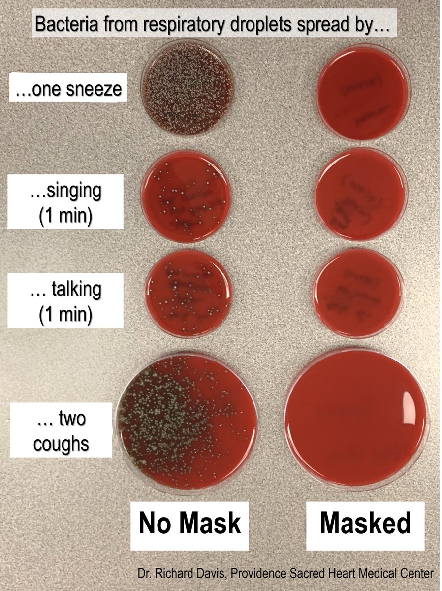 I'm aware that this simple (n=1) demo isn't how you culture viruses or model spread of SARS-CoV-2. But colonies of normal bacteria from my mouth/throat show the spread of large respiratory droplets, like the kind we think mostly spread  #COVID19, and how a mask can block them!