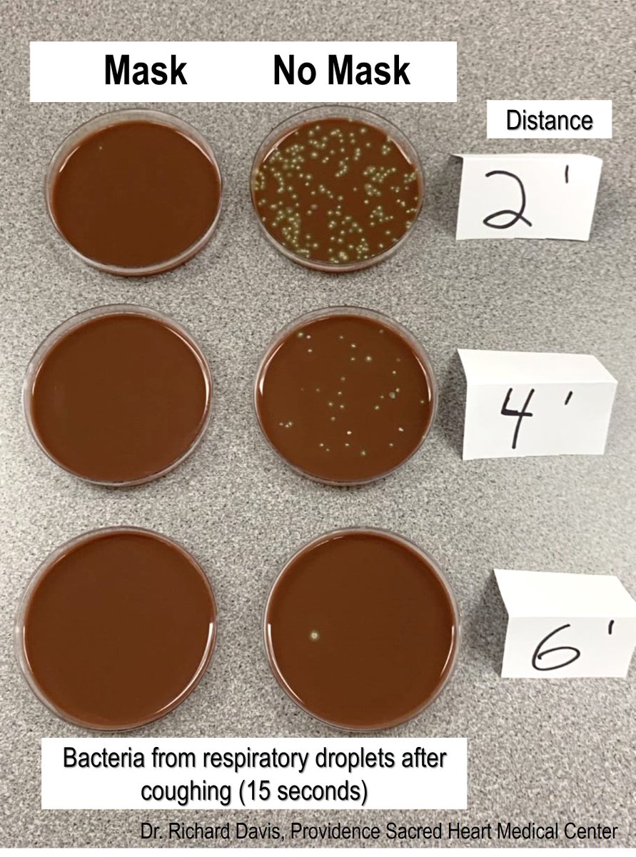 I'm aware that this simple (n=1) demo isn't how you culture viruses or model spread of SARS-CoV-2. But colonies of normal bacteria from my mouth/throat show the spread of large respiratory droplets, like the kind we think mostly spread  #COVID19, and how a mask can block them!