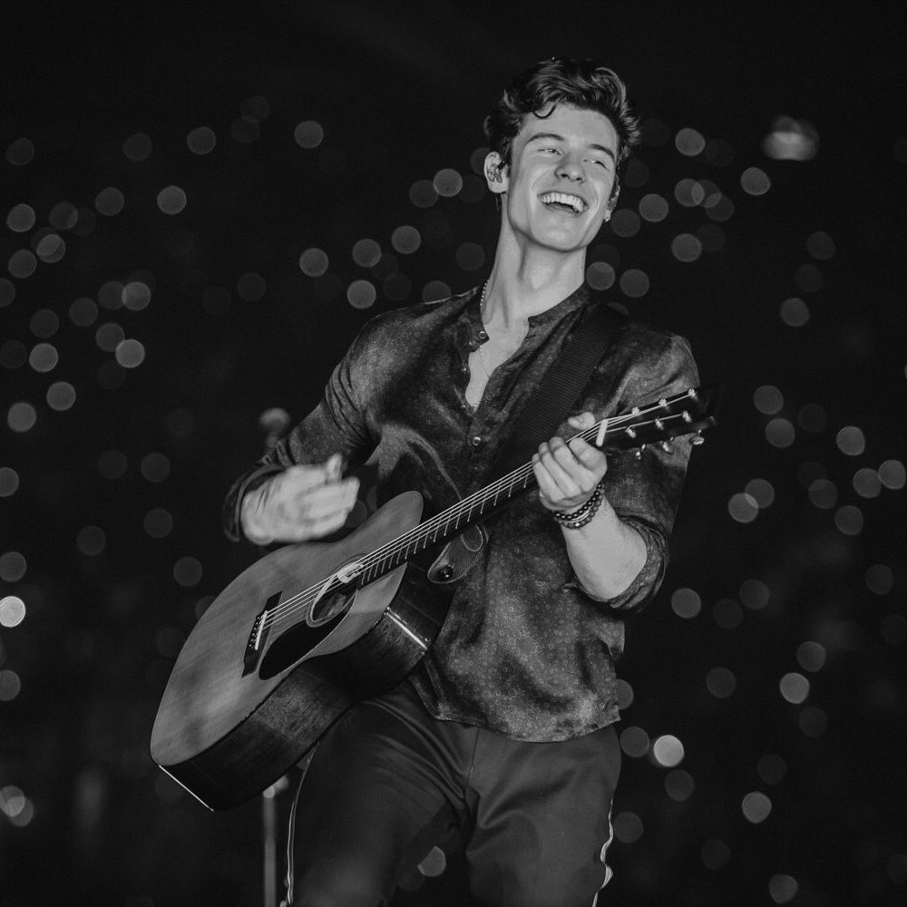 Shawn Mendes The Tour - Múnich ✦