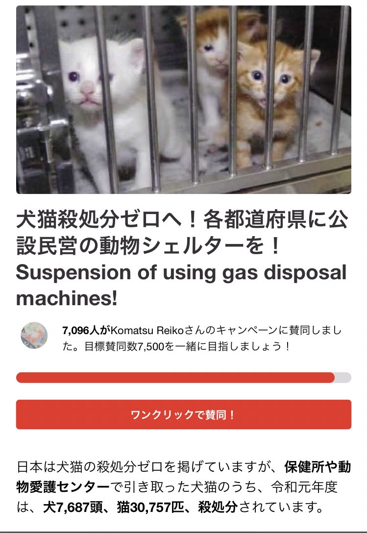 立花茜 على تويتر 水も滴るこんにちは 犬猫殺処分の多さにびっくりした今日朝 犬猫大好きで1匹でも引き取ってあげたいんですけど 動物全部アレルギーなの 人間でギリギリです 今日の言いたいツッコミは チャオチュールくらい依存性あるやん です ヒモ
