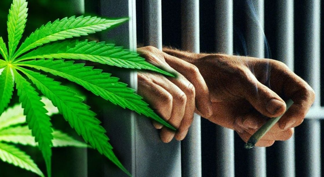skyhightheory's tweet image. NORML Demands That the Feds Admit Pot Prohibition Is More Dangerous Than Legalization
#NORML #FederalLegalization #FederalCannabisLegalization #FederalMarijuanaLegalization #PotProhibition #CannabisCommunity #CannabisCulture #Feds #Weed
buff.ly/3fvoLzc