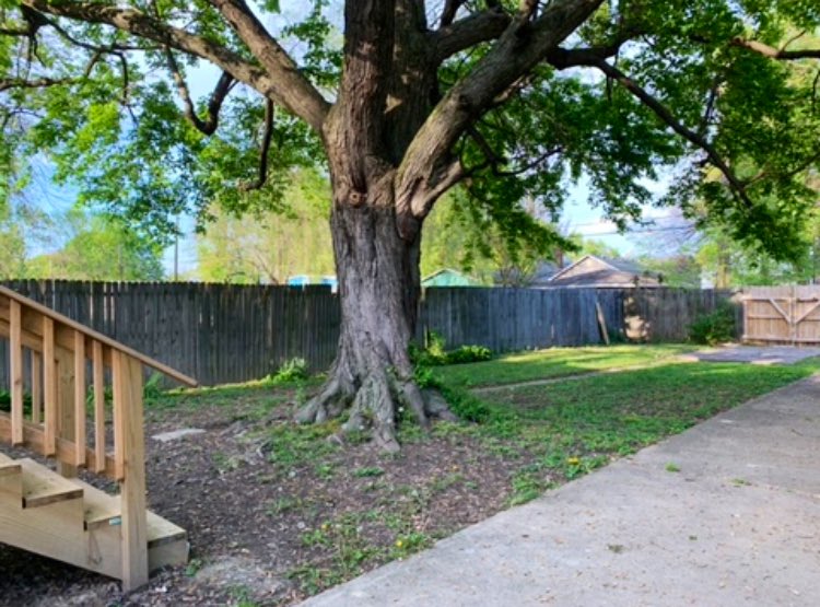 Laura Ellis tweet media