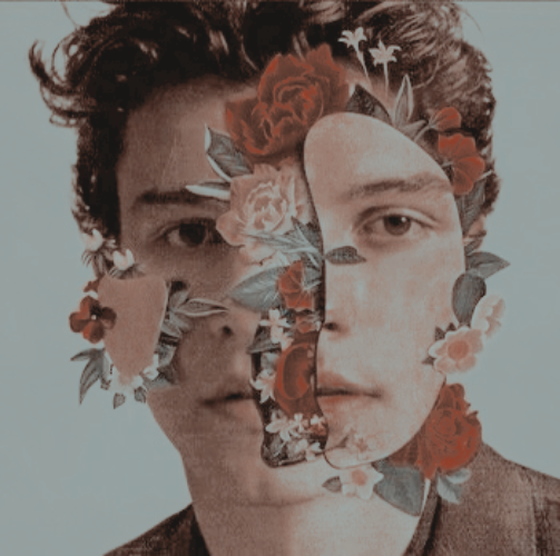 — ✦ Shawn Mendes Era ; a necessary and beautiful thread.