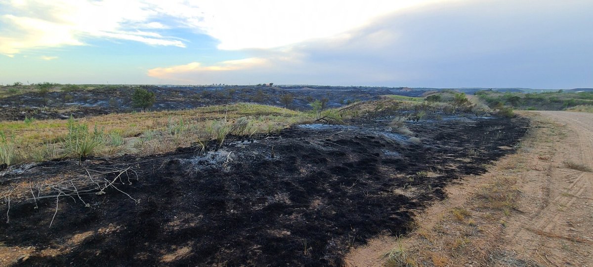 AllHazardsTFS's tweet photo. Update: the #HackberryFire in Potter County is 144 acres and 100% contained. #txfire https://t.co/rUGtH7XNny