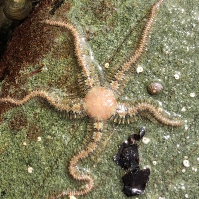 CFGSBio's tweet photo. #NewProfilePic https://t.co/oC33YKenBa