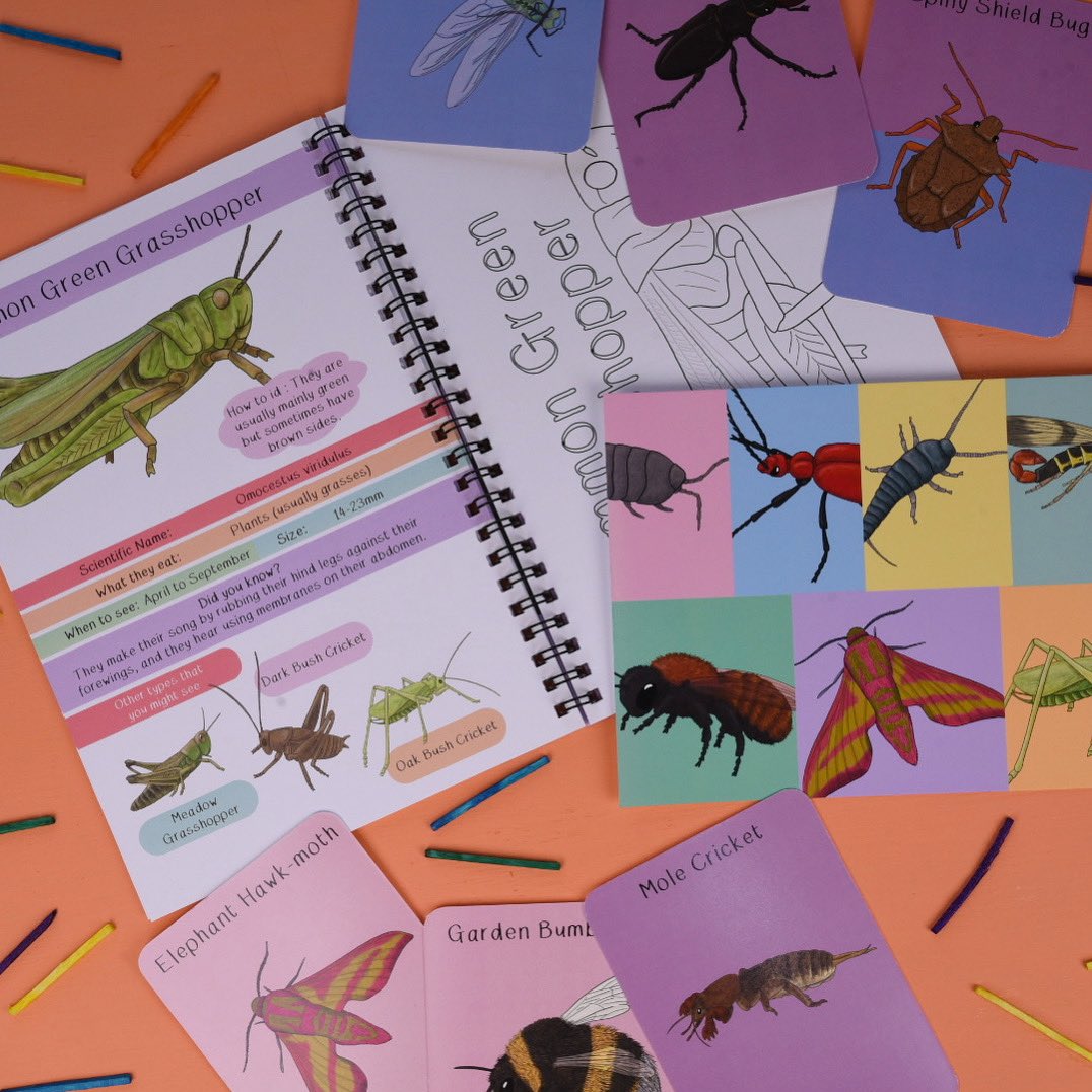 buttonandsquirt's tweet image. Have you seen my latest fact and activity book, all about some of our amazing bugs :) if you order it this week then I will pop this 5x7 bug print in as a free gift. buttonandsquirt.co.uk/ourshop/prod_7… #britishbugs #nationalinsectweek #bugbook #kidsathome
