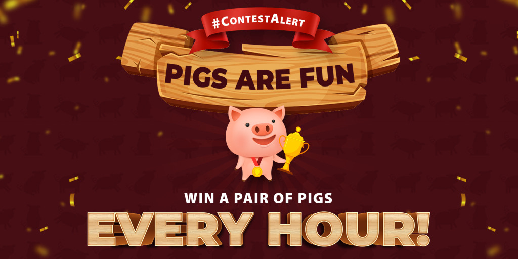 piggericks's tweet photo. Do you like to toss pigs? Join #piggericks and win a pair of pigs to toss. To win
1. Like
2. Retweet
3. Comment your favorite pig gif
4. Sign up at https://t.co/yRlphkTvux
Participate and win every hour for the next 24 hours.
#hive #nft #crypto #blockchain #blockchaingaming https://t.co/wKjSPspYna