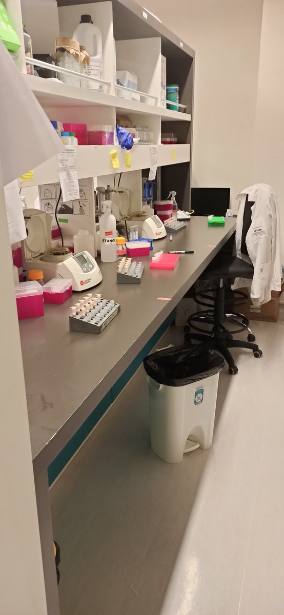 jrwmartinez's tweet photo. Ha sido un largo camino que comenzó hace meses con la adaptación...

Y no me refiero sólo a la adaptación de laboratorios (los cuales en partes están irreconocibles), sino que también a una adaptación de mentalidades y mañas para trabajar juntos por un fin común.... https://t.co/KbrChSXkO7