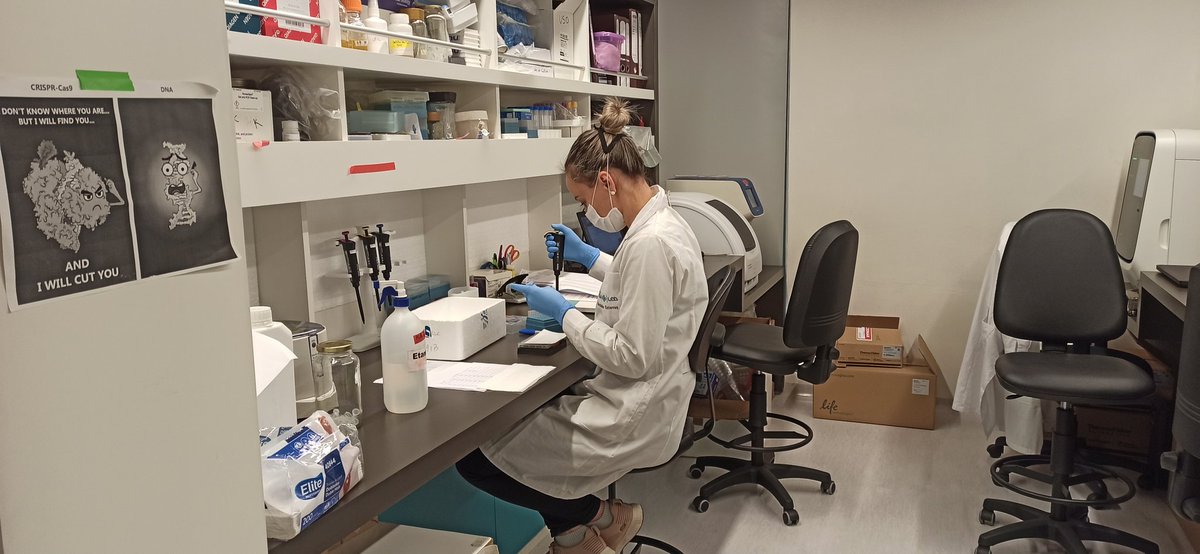 jrwmartinez's tweet photo. Ha sido un largo camino que comenzó hace meses con la adaptación...

Y no me refiero sólo a la adaptación de laboratorios (los cuales en partes están irreconocibles), sino que también a una adaptación de mentalidades y mañas para trabajar juntos por un fin común.... https://t.co/KbrChSXkO7