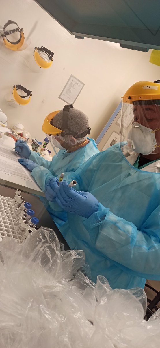 jrwmartinez's tweet photo. ... Quizás sea un número menor comparado al esfuerzo de toda la red de laboratorios. Pero, por más que sea un pequeño paso, es un gran logro

Gracias por el profesionalismo, compañerismo, solidaridad y voluntad que los caracteriza!

Felicidades equipo! https://t.co/LB01IzFewB
