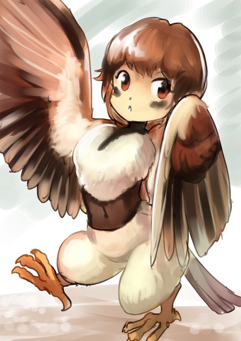 ハルピュイアのtwitterイラスト検索結果