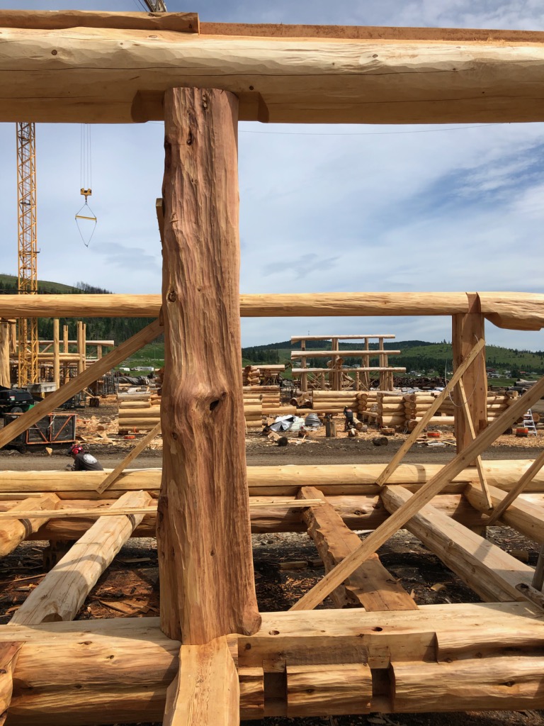 tk_brad85's tweet photo. Roof is almost done on this Post &amp; Beam headed to Saskatchewan. @PioneerLogHomes 

#timberkings #finestloghomesoneearth #logpostandbeam https://t.co/AIc0k2vcr2