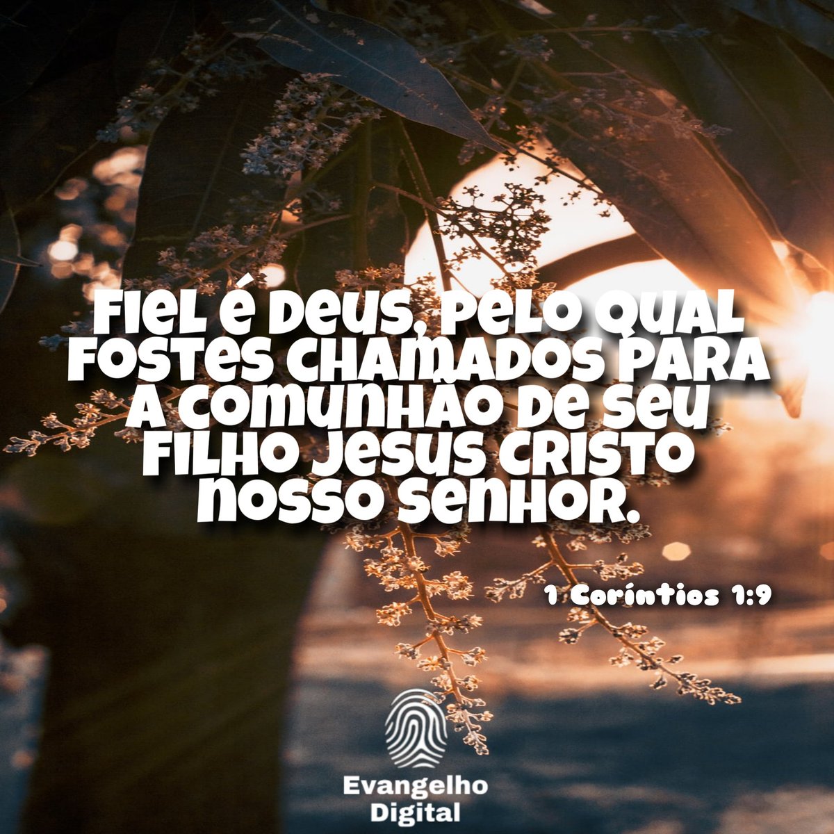 EvangDigi's tweet photo. 1 Coríntios 1:9

#evangelhodigital https://t.co/yDxecK3Xx3
