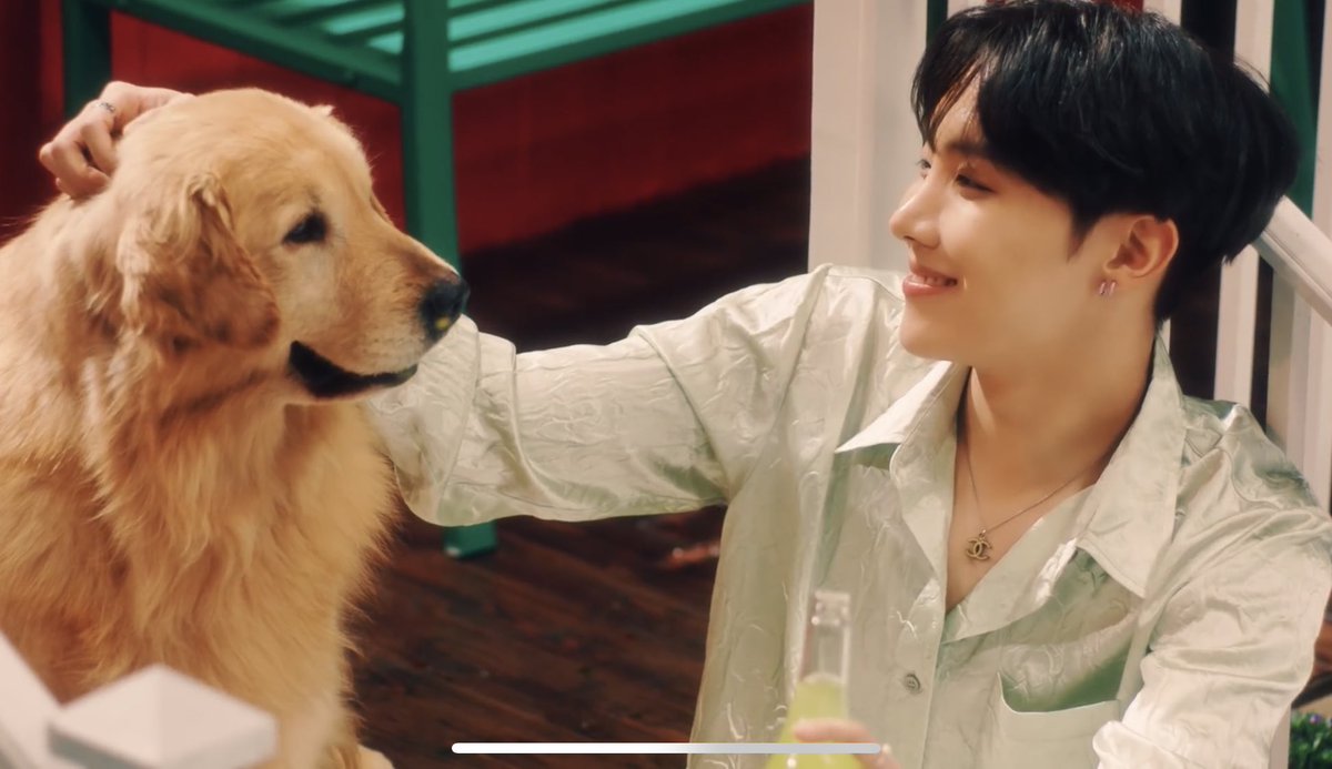 Lindsay Webster Casting A Golden Retriever For The Stay Gold Bts Mv Was Correct Lindsay Webster Casting A Golden Retriever For The Stay Gold Bts Mv Was Correct