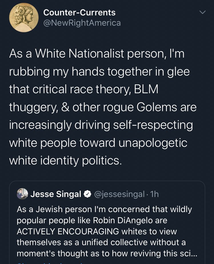 Surprise, surprise, white nationalist is thrilled about this hyper focus on race and whiteness