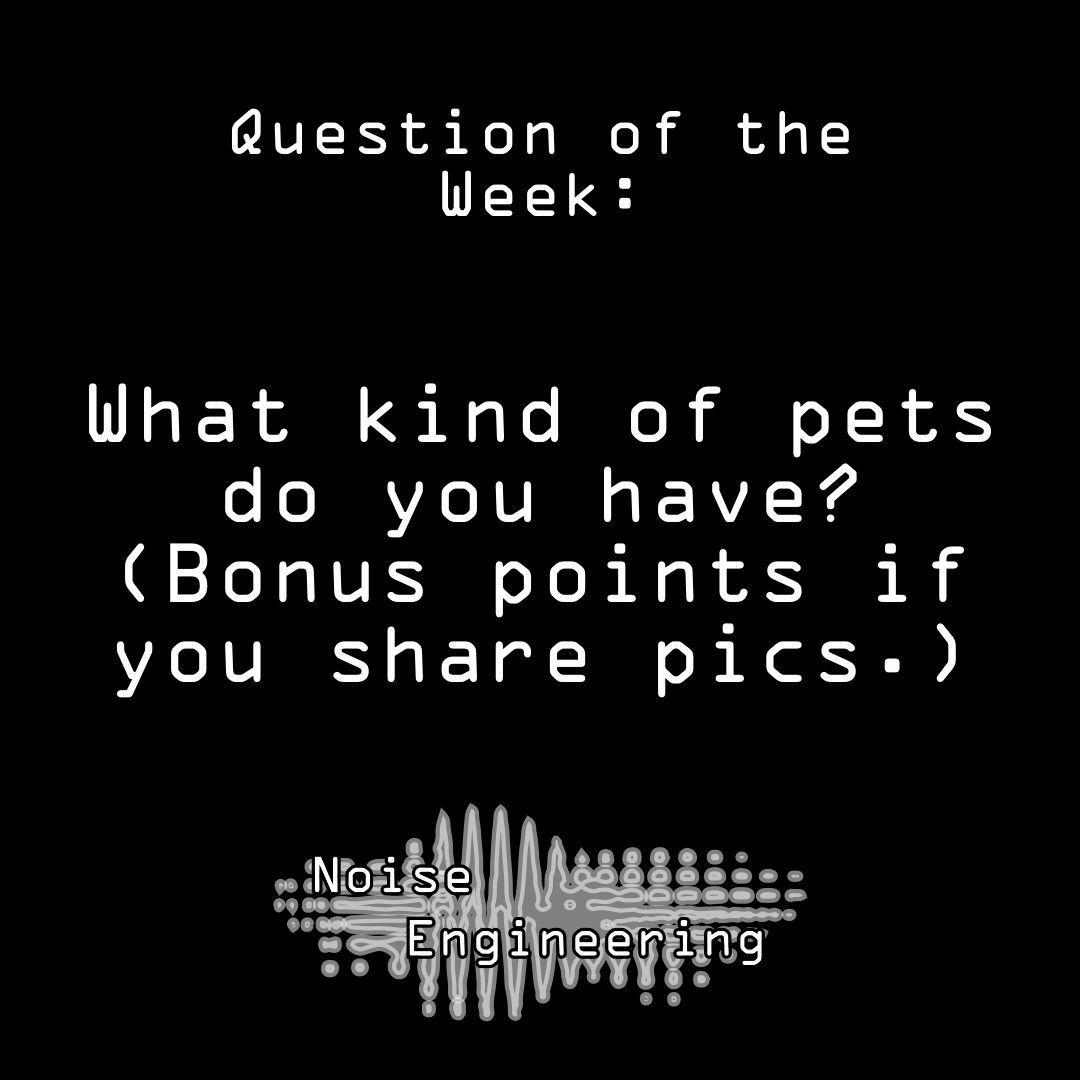 Noise Engineering tweet media