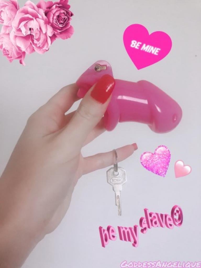 GOLDEN SISSY FEMINIZATION TRAINING SCHOOL tweet media