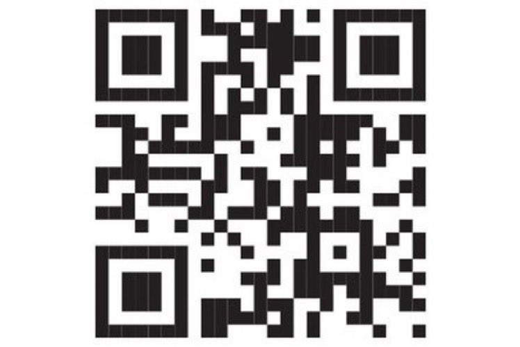 jennycohn1's tweet photo. Is this Joe Biden or Donald Trump? 👇 You can’t tell, can you? #QRCodeVoting is a scam. Pass it on. 3/ https://t.co/hNqWII9W5u