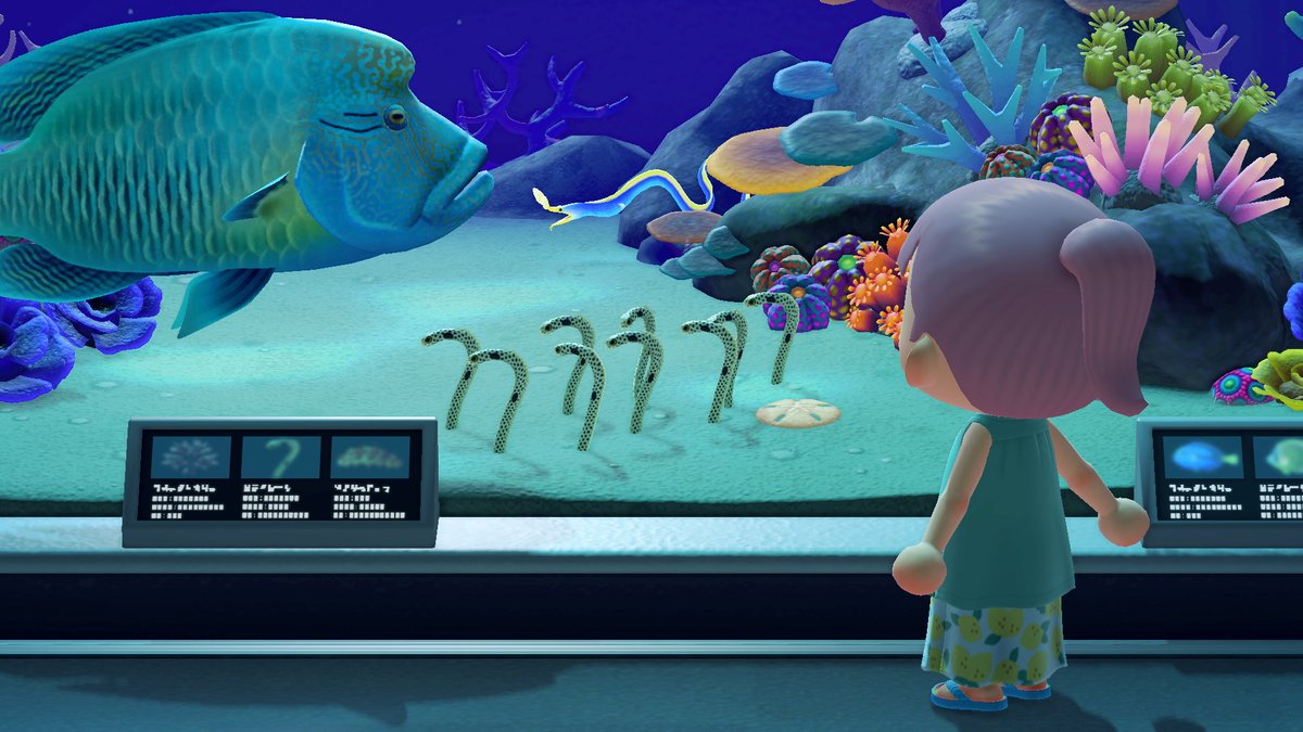 NintendoAmerica's tweet photo. Don your wet suit to swim in the ocean around your island! Dive deep to discover new sea creatures and then donate them to the museum. Once the #AnimalCrossing: New Horizons free Summer Update – Wave 1 arrives on 7/3, you’ll be able to enjoy this new feature anytime. https://t.co/cXEOtYdqha