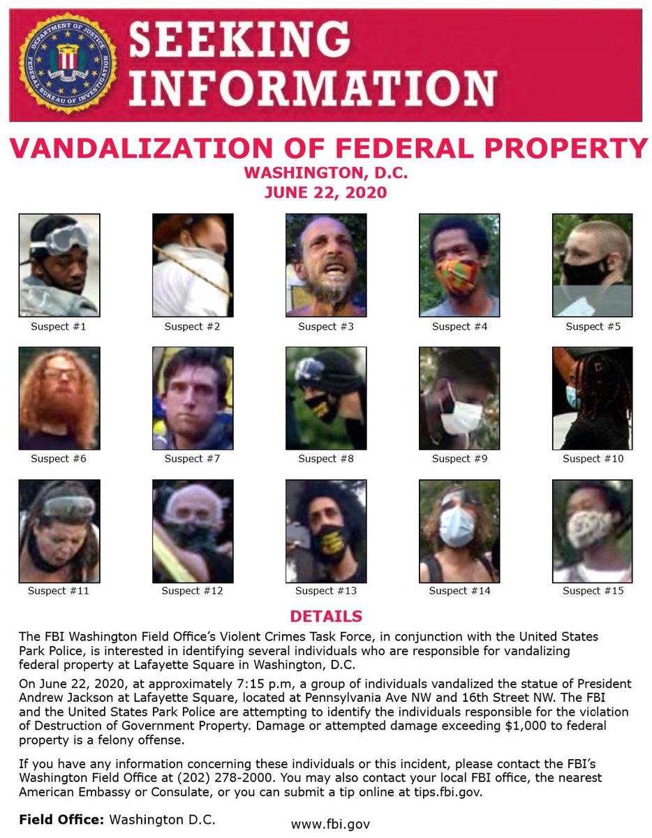 MANY people in custody, with many others being sought for Vandalization of Federal Property in Lafayette Park. 10 year prison sentences! @FBIWFO