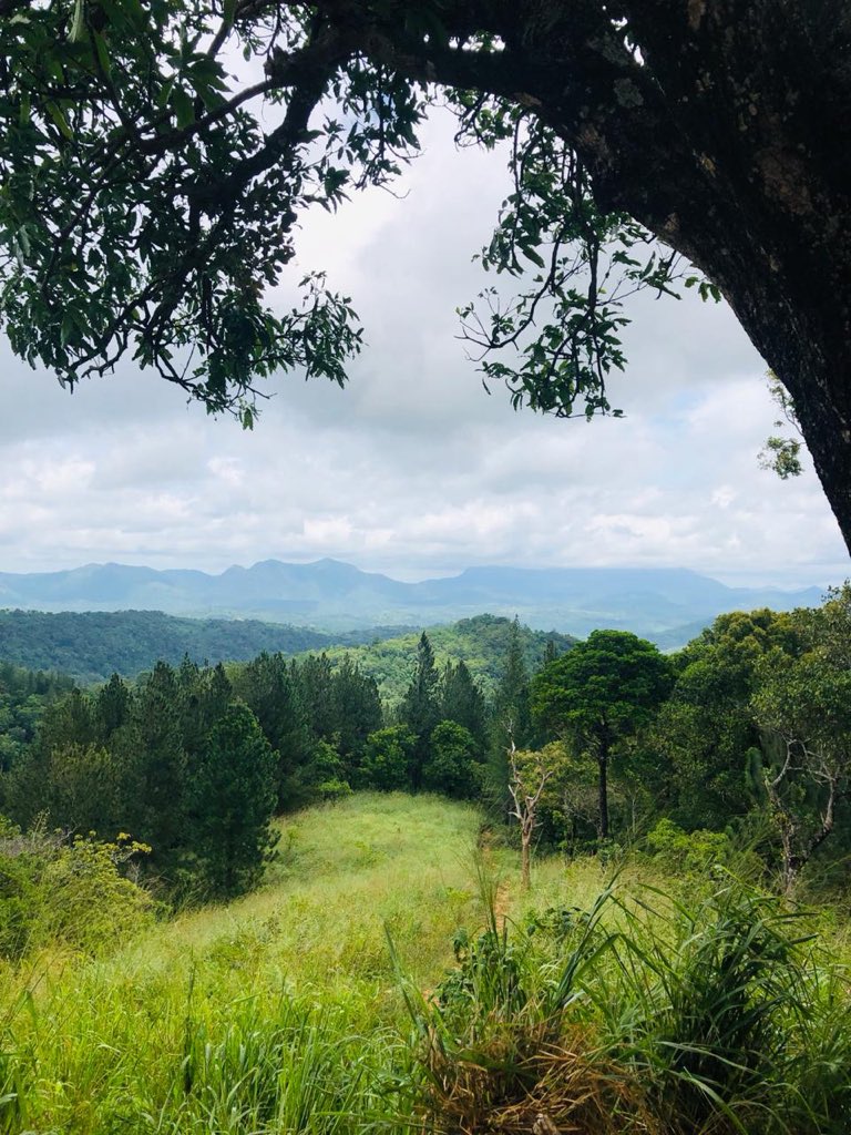 MataleArchery's tweet photo. Riverston #Srilanka https://t.co/CGnbeRGgL6