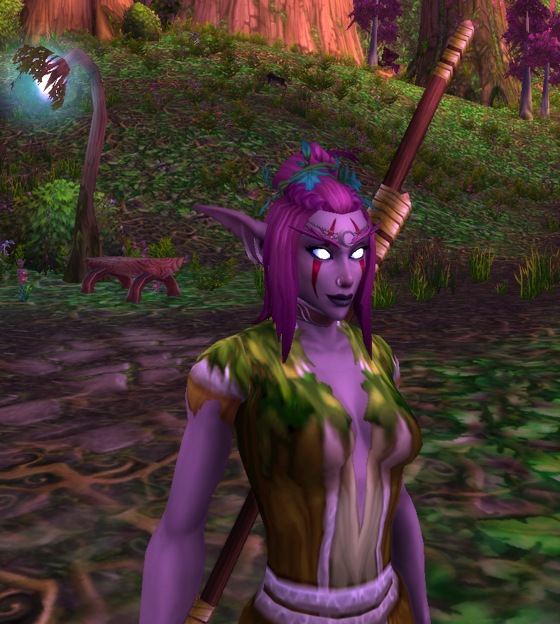 zizeah's tweet photo. #Shadowlands #ShadowlandsAlpha #WoWShadowlands #Warcraft #NightElf https://t.co/D1GmxGyNSN