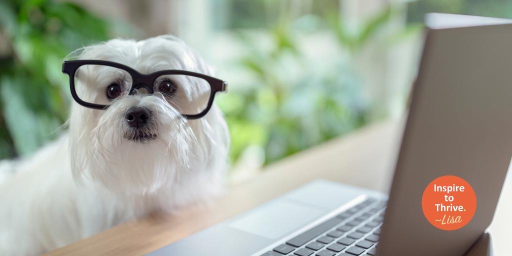 7 Reasons Why People Have Stopped Reading Your Blog Posts inspiretothrive.com/stopped-readin… RT <a href="/Lisapatb/">Lisa Sicard 👩‍💻</a>