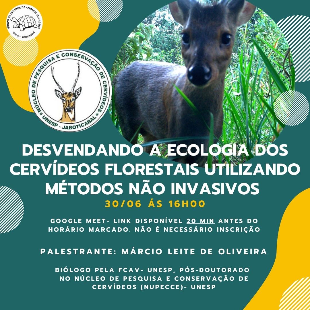 Márcio Oliveira tweet media